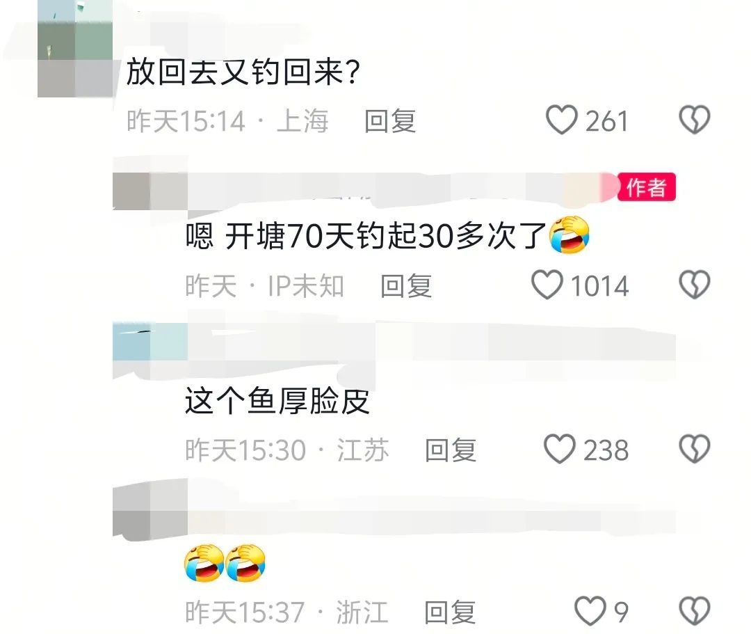 板在社交平, 谁钓到金色