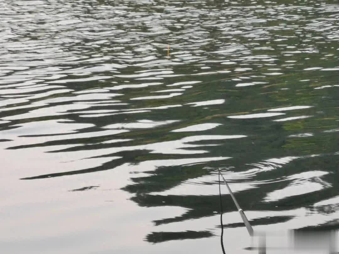 但子线是横, alt, span 但子线是横, alt, span