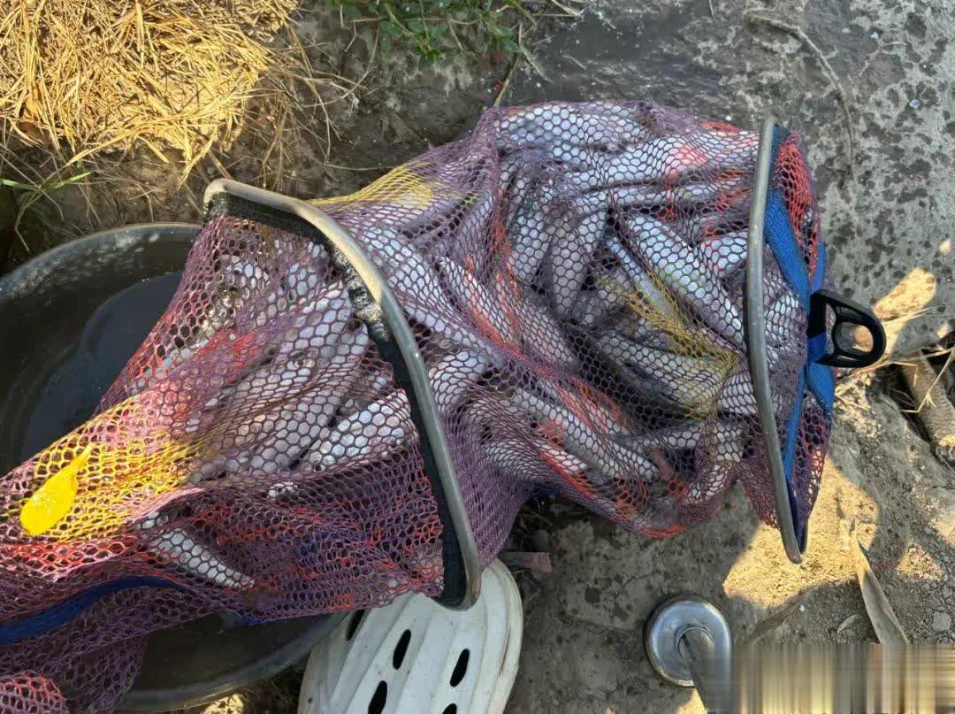 有时候是离, 否则玩不了, 钓肯定也能 有时候是离, 否则玩不了, 钓肯定也能